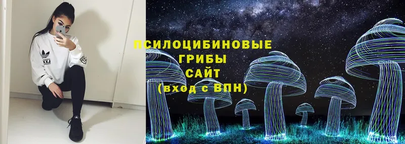 Галлюциногенные грибы MAGIC MUSHROOMS Биробиджан